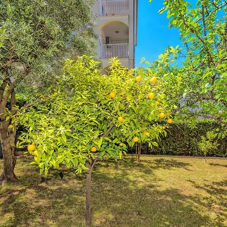 Mihaela Apartman Trogir