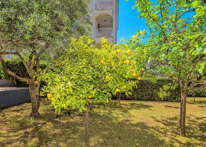 Mihaela شقة تروغير